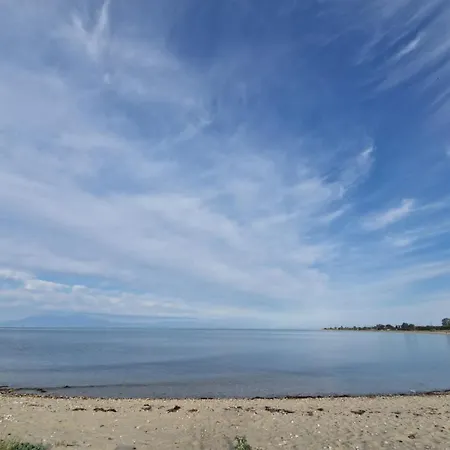 Happy By The Sea *
