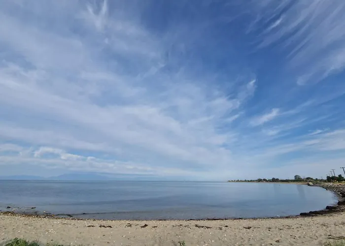 Happy By The Sea *